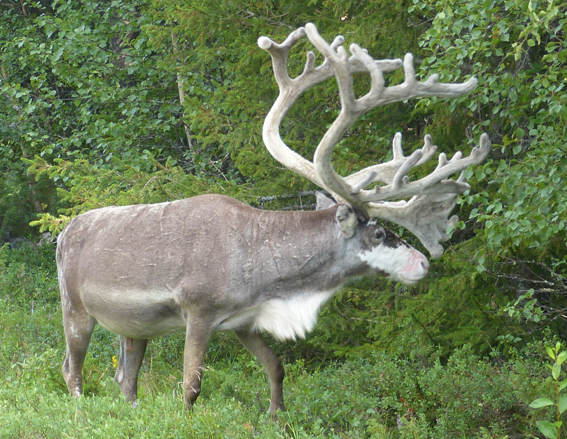 Schweden